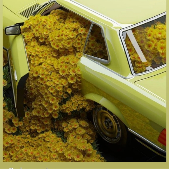 Meet your Posher, Beezus - Picture 1 of 1